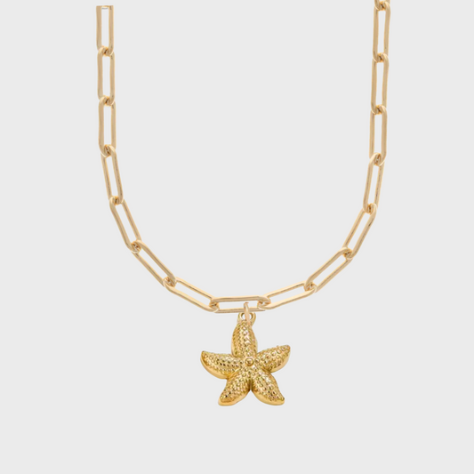 starfish chunky paperclip choker